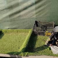 مخضر • جديد • تواصل خاص