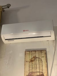 سبلت • ١ طن • نظيف
