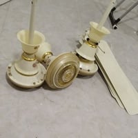 مراوح • عاطلات • عدد ٣