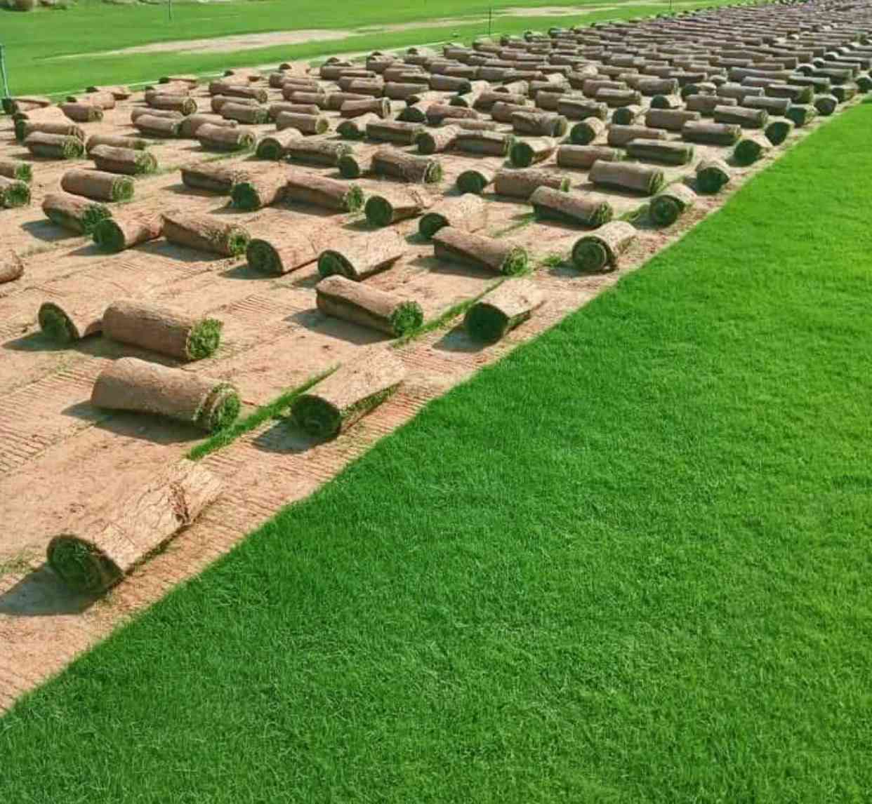 بسم الله الرحمن الرحيم
والحمد لله رب العالمين.    التواصل معة مدير العمل ***********

🔹 مستعدون لتجهيز كافة الدور السكنية

🔹 وكافة الدوائر والمؤسسات الحكومية

🌱 بأجود أنواع الثيل الطبيعي المستورد وبأفضل الأسعار 🌱

نوفر لكم الأنواع التالية:

✅ ثيل فرنسي

✅ ثيل إيطالي

✅ ثيل هندي

✔ جودة عالية

✔ تركيب بإشراف مختصين

✔ سرعة في الإنجاز

✔ أسعار تنافسية

📞 للحجز والاستفسار:

***********

***********

🌿 نهتم بجمال مساحتك الخضراء… لأن ذوقك يهمنا 🌿
