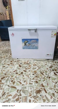 مجمدة • ١٤ قدم • بابل