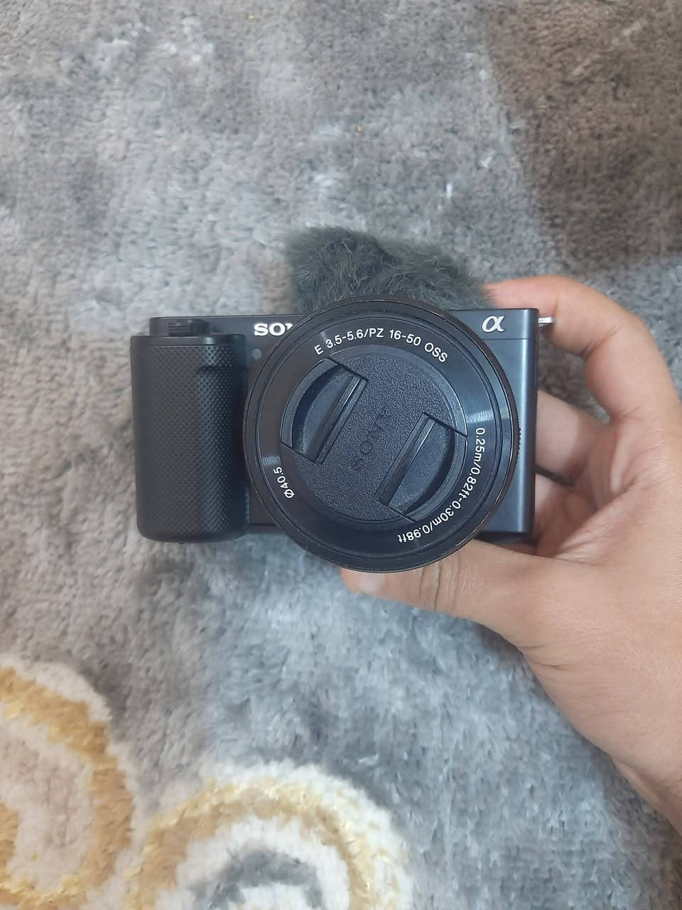 سوني zve10 للبيع
للبيع 
والمراوس ..
استعملها فيديو اكثر شي ونظيفة جداً
كل غراضها موجوده


**إذا كنت صاحب هذا الإعلان وتريد حذفه لأي سبب، رجاءا أرسل رسالة إلى الدعم الفني**