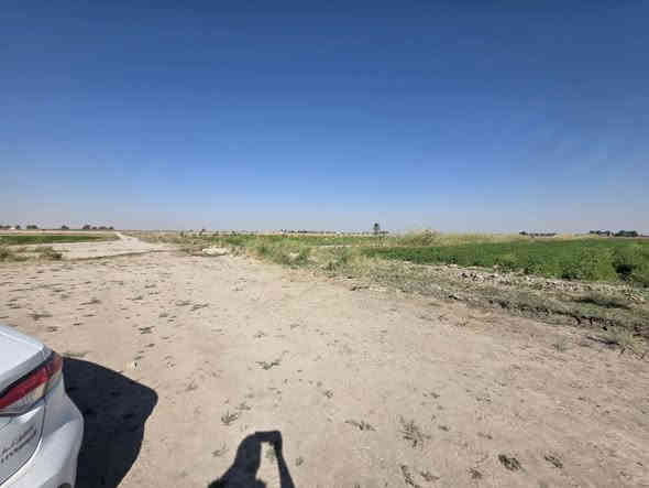 ارض للبيع المساحه 14 دونم في بغداد التاجي ذراع دجله الشيخ عامر
صنف الأرض. طابو زراعي سند 25 تحويل بأسمك 
الأرض بأسمي شخصيا 
جبها الدونم 50×50
كامل الخدمات اساله كهرباء ماء سقي 
تصلح مزارع شاليهات استثمار سكن 
تبعد عن كاضميه 20 دقيقه قريبه من تبليط وسنتر 
السعر 32 مليون وقابل للتفاوض للدونم 

للإتصال والاستفسار  
***********
