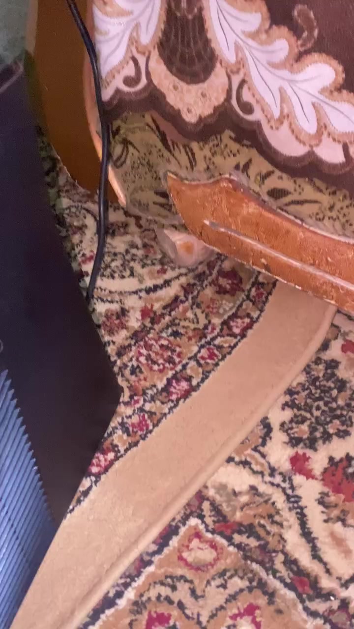 للبيع اكس بوكس 360نضيف مليان العاب مع 4جوستكات السعر 140وبي مجال مهكر


**إذا كنت صاحب هذا الإعلان وتريد حذفه لأي سبب، رجاءا أرسل رسالة إلى الدعم الفني**