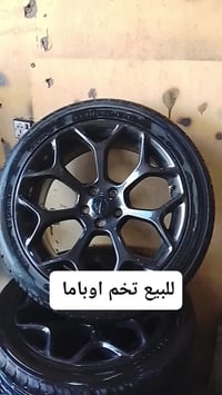 تخم ويل كب • تخم حساس • حجم ٢٠