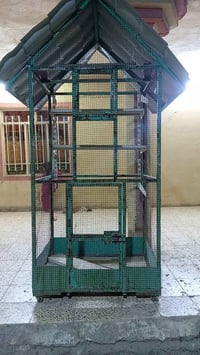 قفص حديد • للبيع • ادفع سعر