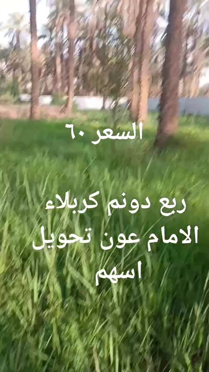 🔹المساحة ٦٥٠ متر ربع ▪دونم 
▪تحويل اسهم يدخل ▪اسمك بالسند كربلاء ▪الامام عون منطقة ▪الحصوة يبعد عن التبليط ▪٧٠ متر وجه الارض ١٧ متر ▪ماء سقي ماء اساله وطني ▪مولد ذهبي كل الخدمات 🔸متوفره السعر ٦٠ مليون باقي التفاصيل اتصال 
***********
