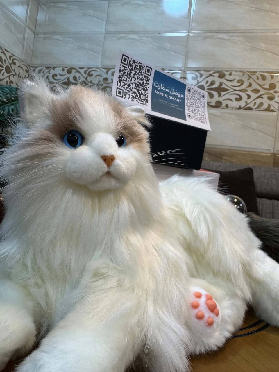 السلام عليكم
مجسم قطة 🐈 مقارب للحقيقي تفاعلي شحن تايب سي جديد ما مستخدم 
قيم وبالعافية 🌹
وهذا شرح 
هذه لعبة قطة تفاعلية نابضة بالحياة من شركة Elephant Robotics، وتحديدًا طراز MetaCat Ragdoll.الميزات التفاعلية: تم تصميم الروبوت ليحاكي سلوك القطط الحقيقية، بما في ذلك الخرخرة، وهز الذيل، وحركات العين، والقدرة على الاستجابة لـ 20 أمرًا صوتيًا مختلفًا.مستشعرات اللمس: يحتوي على مستشعرات مدمجة في الرأس والذقن والظهر، مما يسمح له بالاستجابة للمساتك بمواء واقعية وحركات تفاعلية.التصميم والمواد: مصنوع من فرو صناعي ناعم وعالي الجودة، مما يجعله آمنًا ومريحًا، وهو مناسب كرفيق للأطفال والكبار وكبار السن، خاصة أولئك الذين يعانون من حساسية تجاه الحيوانات الحقيقية.


**إذا كنت صاحب هذا الإعلان وتريد حذفه لأي سبب، رجاءا أرسل رسالة إلى الدعم الفني**