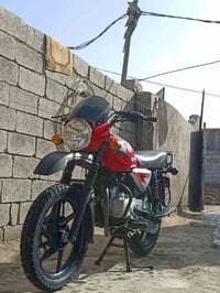 بوكسر جبلي • موديل ٢٠٢٣ • أوراق كاملة