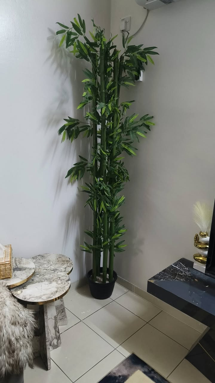 للبيع


**إذا كنت صاحب هذا الإعلان وتريد حذفه لأي سبب، رجاءا أرسل رسالة إلى الدعم الفني**