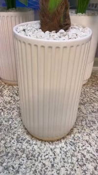 شجرة سايكس • صناعي • مظهر طبيعي