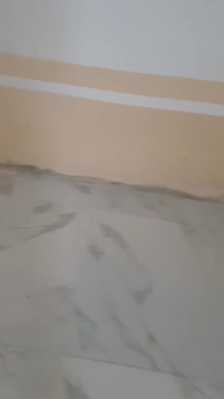 سلام عليكم كادر سيراميك متفرغ حلين سعر مناسب ورزق عله الله اني شعندك شتغل سيراميك ***********

