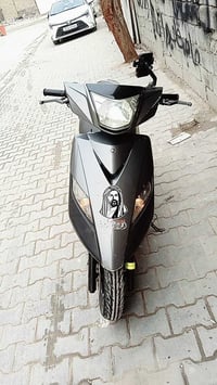 ثعلب حديث للبيت السعر خاص 07722649482