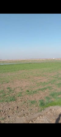 ١٧دونم • طابو مداور • ماء وكهرباء