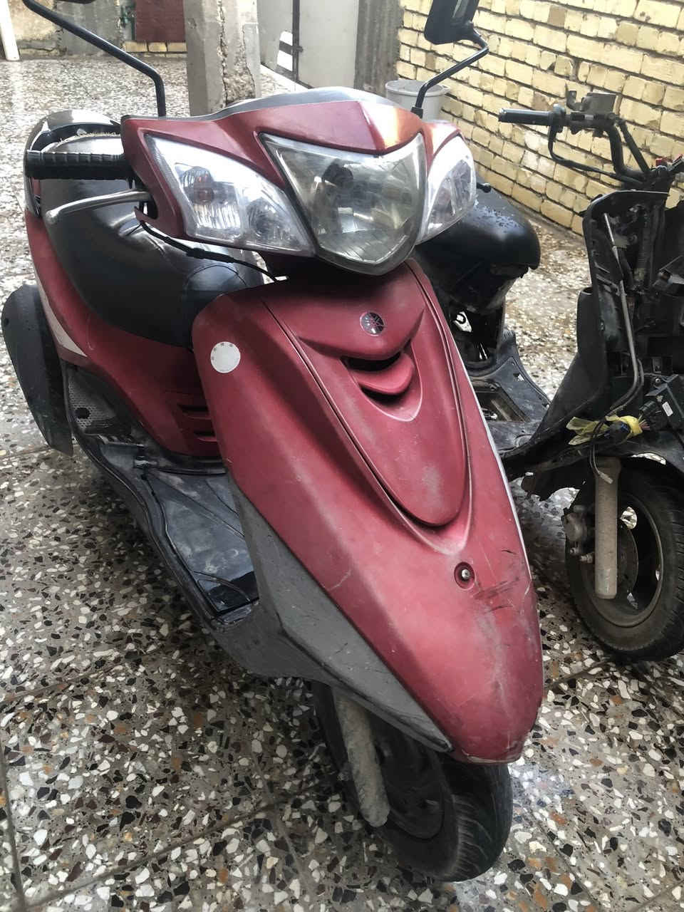 توفرت دراجه ببغاء للبيع نوزل وليس كابريتر
محرك مكفول دراجه مكفوله معئ المنفيس السعر800وبيها مجال رقمي واتساب ***********الي حاب ياخذها مكاني بغداد الدوره ابو دشير 🔥
