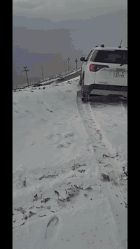 اكاديا • ٢٠١٨ • قطعة صبغ