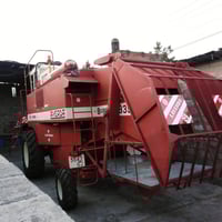 حاصودة • رانية