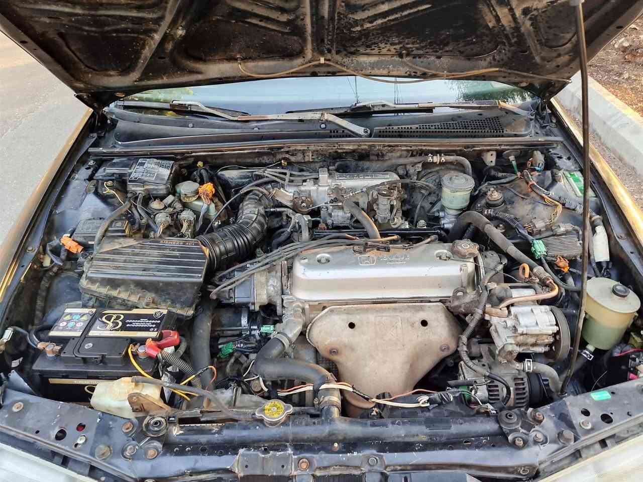 Forsale
رقم الهاتف 76123047
هوندا أكورد مودال ٩٦  مسجلي مسكر ميكنيك الفين و٢٦  مكيفي موتار وفيتاس جداد قفل مركزي ازاز كهربا دركسيون زيت ٤ دواليب جداد مجنطا فتحت سقف  لا ضربات ولا هريان بعمل وكالي لا صاحب
موجودي رميله قبل صيدا


**إذا كنت صاحب هذا الإعلان وتريد حذفه لأي سبب، رجاءا أرسل رسالة إلى الدعم الفني**