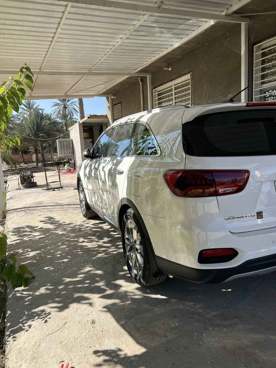 كيا سورنتو خليجي موديل 2020

اربعه ستندر 

مواصفات  بصمه مري شفط اناره ترحيب شحن وايرلس جنطه كهرباء ويل كروم سبعه راكب ثلاث قطع تبريد دبل كمبريسر كشن كهرباء 

ماشيه (140)كيلو 

مكفوله من الصبغ بيه بارد وتكحيل كارت 

مكاني كربلاء السعر (205)وبيه مجال حك الجيه 

***********

***********
