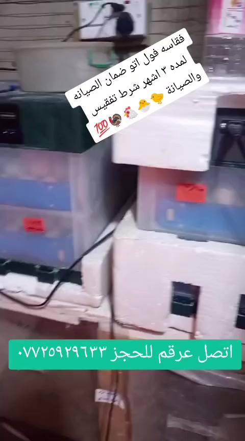 مكتب البيادر البصره القرنه 🦃🐣🐓🐔🔥
يوجد كافه فقاسات الدجاج وشرط الضمان الصيانه والتفقيس أقوى فقاسات متوفره 🐣🐤 اتصل عرقم وتدلل ***********
يوجد توصيل
