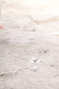 حي الجوادين • ٢٠٠م • أرض زراعية