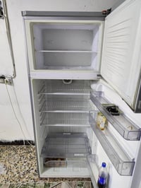 بيكو شغالة • حجم كبير • الشعب بغداد