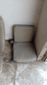 سيبايه للبيع سعر 75 كشنات للبيع انصاف لاستفسار  07716099493