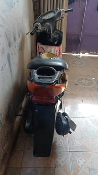 عصفورية • نثية • شغالة