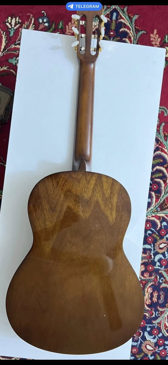 كيتار ياماها C70 للبيع بسعر ١٣٠ الف


**إذا كنت صاحب هذا الإعلان وتريد حذفه لأي سبب، رجاءا أرسل رسالة إلى الدعم الفني**