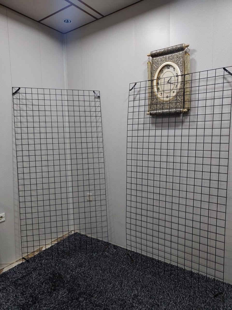 للبيع كل واحد بسعر متوفر توصيل جميع محافظات


**إذا كنت صاحب هذا الإعلان وتريد حذفه لأي سبب، رجاءا أرسل رسالة إلى الدعم الفني**