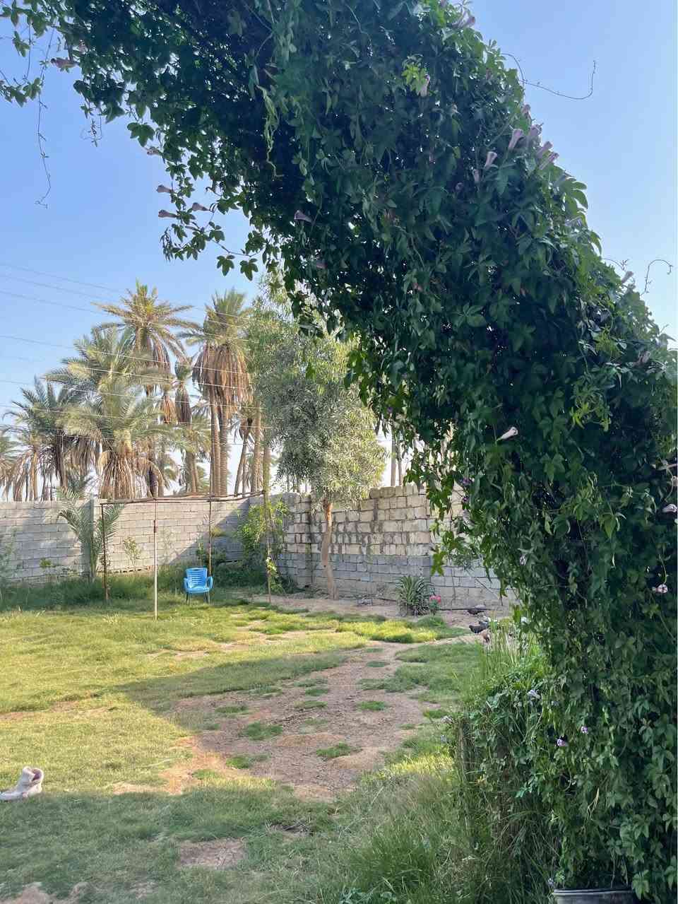 بغداد اليوسفيه القصر الأوسط
دونم وربع مع دار ٣٠٠ متر ٣ غرف نوم كاملات 
الطبخ وحولي والاستقبال لحد الان ممبيضات
مي اساله وصالكهرباء واصل تبليط باب بيتك مولد سحب اكبالك ذهبي 
 السعر 250 مليون قابل للتفاوض 
*********** بغداد, العراق
