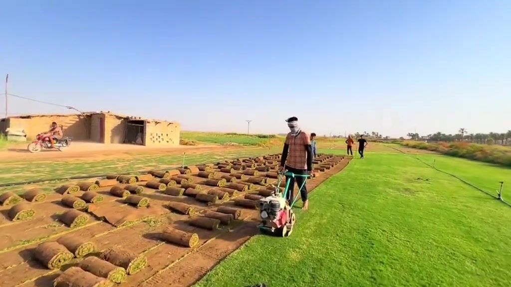 🌿🍀 عرض مميز على الثيل الطبيعي 🍀🌿
نوفر لكم أجود أنواع الثيل الطبيعي بدرجة أولى وبأسعار مناسبة لجميع المحافظات 🇮🇶
✅ ثيل هندي
✅ ثيل أمريكي
✅ ثيل إيطالي
✅ ثيل فرنسي
✅ ثيل إنكليزي
🌳 مناسب لـ:
الحدائق المنزلية
المتنزهات العامة
المدارس والدوائر الحكومية
الملاعب والمشاريع الاستثمارية
🚚 توصيل سريع إلى جميع محافظات العراق
💯 جودة مضمونة وخضرة دائمة
📞 للاستفسار والطلب راسل الصفحة أو اتصل بنا.
🌿 حوّل حديقتك إلى مساحة خضراء مميزة مع أفضل أنواع الثيل الطبيعي 🌿
***********
***********
