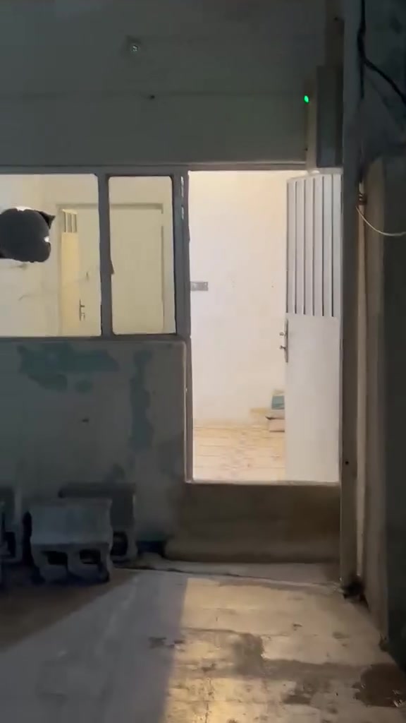السلام عليكم 

مشتمل للايجار طابق ارضي 
بي طرمه واستقبال ومطبخ صحيات وغرفه 
مكان الشعب سوك شلال خلف مكوى الخضراء 
ايجاره 300
للاستفسار لاتصال على الرقم ***********
