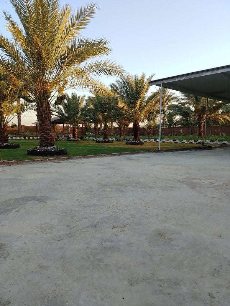 يوجد لدينا دونم للبيع طابو زراعي سند 25 المكان بابل شارع الامام بكر عليه السلام شارع الخدمي مال الكفل الاستفسار ***********
