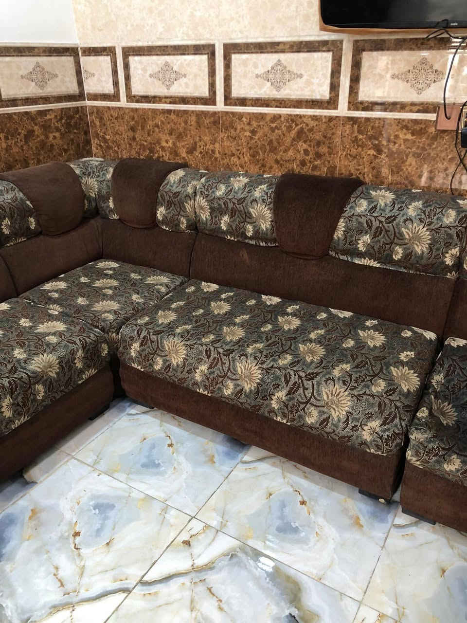 تخم للبيع ب150 ***********
