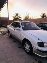 البطه • داخل نضيف • الضلوعيه