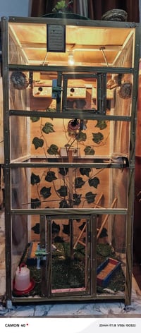 قفص حديد • ارتفاع ١٩٠ • عرض ٨٥