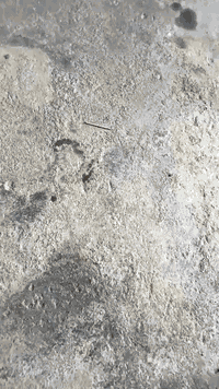 سلام وعليكم دراجه نضيفه موديل 26 أوراق اصولي السعر خاص *********** مكان محاويل
