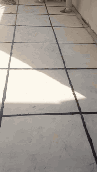 # لتطبيك الاشتايكر / وصيانه الماستك
# قلع وتنضيف الماستك التالف 🔨
#واعاده من جديد ✅
# للاتصال ***********
