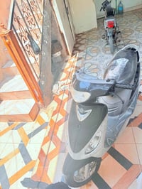 قجمه • سلف وهندر • ٢٠٠٦