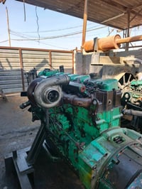 مولد فالغو ٢٢ • سايس ١٠ • فلوجه