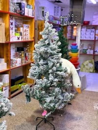 كربلاء الهندية • شجرة كرسمس • مواد منزلية