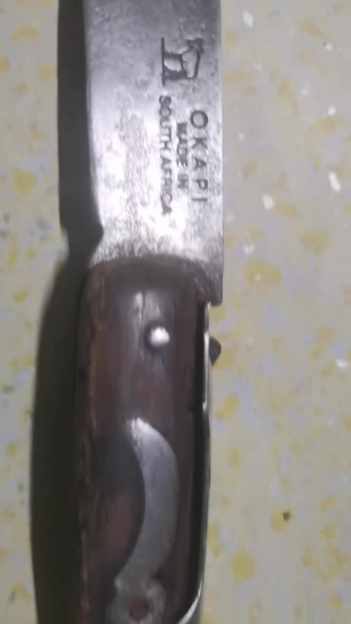 هذه أفريقيه اتفيدك


**إذا كنت صاحب هذا الإعلان وتريد حذفه لأي سبب، رجاءا أرسل رسالة إلى الدعم الفني**