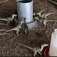ديناصور • لعبة اطفال • للبيع