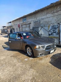 جارجر 2012. فول امريكي رقم بغداد 140 ورقة 07821771005