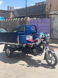 موديل ٢٢ • برقي • أوراق كاملة