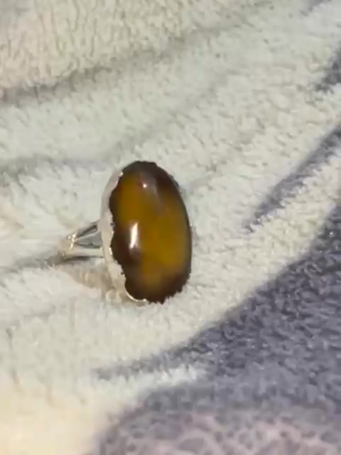 داودي للبيع سعر ٢٥ الف


**إذا كنت صاحب هذا الإعلان وتريد حذفه لأي سبب، رجاءا أرسل رسالة إلى الدعم الفني**