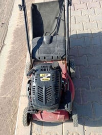 قص الثيل وترتيب وتقليم الحدائق 07832754727