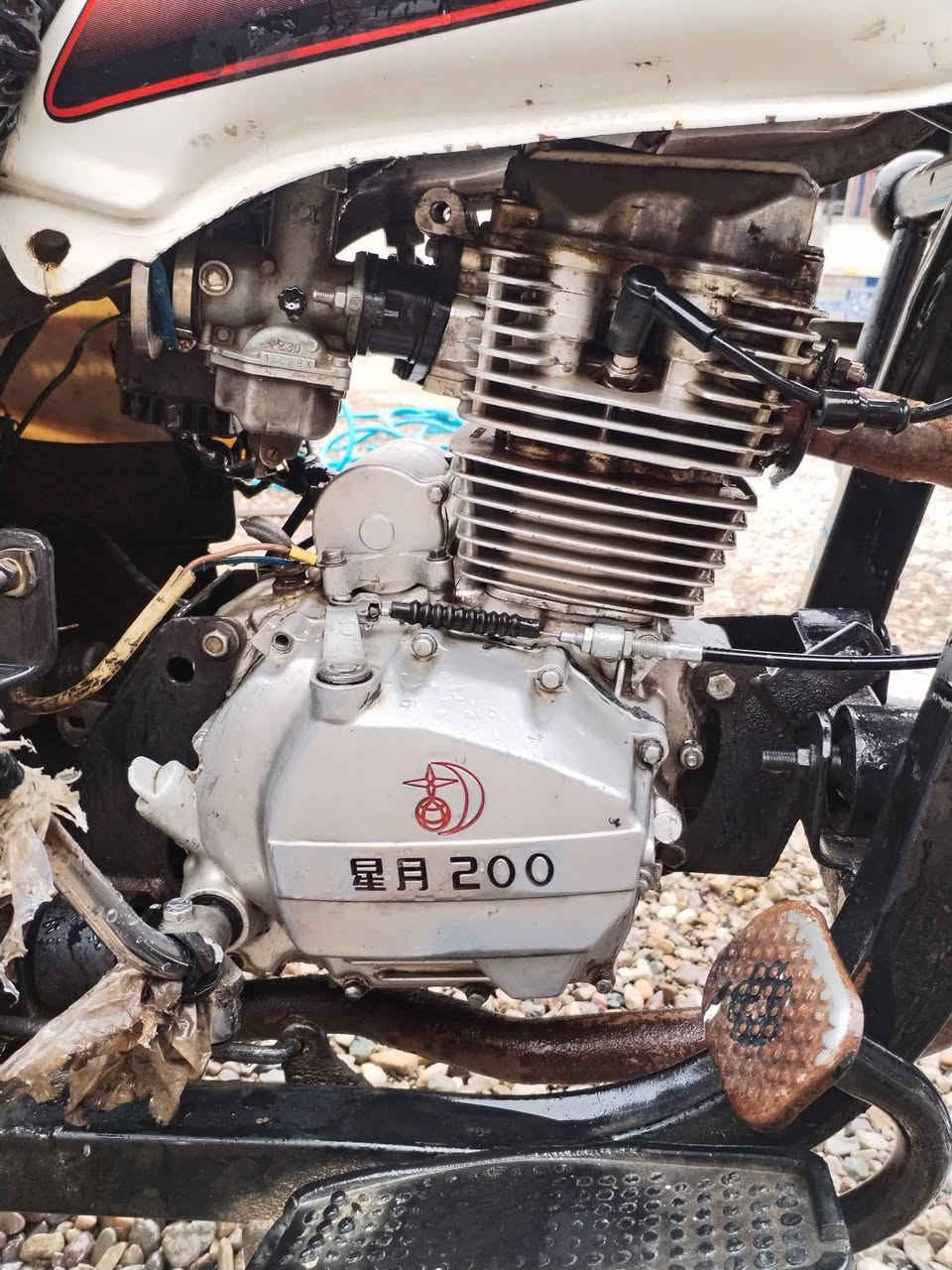 1ستوته ام الطير
2موديل 2010
3 رقم وسنويه
ستوته جاهزه فول ايي نقص مابيها
للبيع ***********
