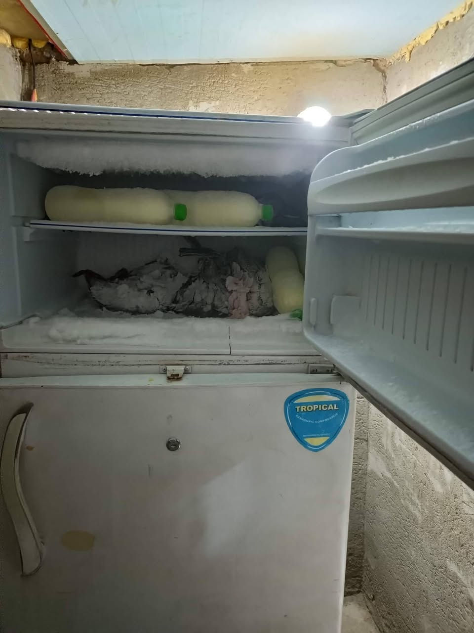 ثلاجه لبناني اصليه تجميدها فول السعر ٢٠٠ وبي مجال قليل مكانها زين القوس


**إذا كنت صاحب هذا الإعلان وتريد حذفه لأي سبب، رجاءا أرسل رسالة إلى الدعم الفني**